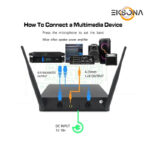 میکروفن بی سیم دو کانال دستی مدل TW100