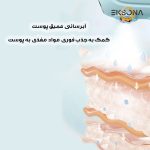 دستگاه آبرسان پوست مدل ZM152