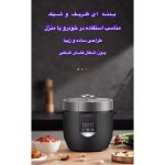 پلوپز دو نفره فندکی خودرو یو شیبا مدل CFX